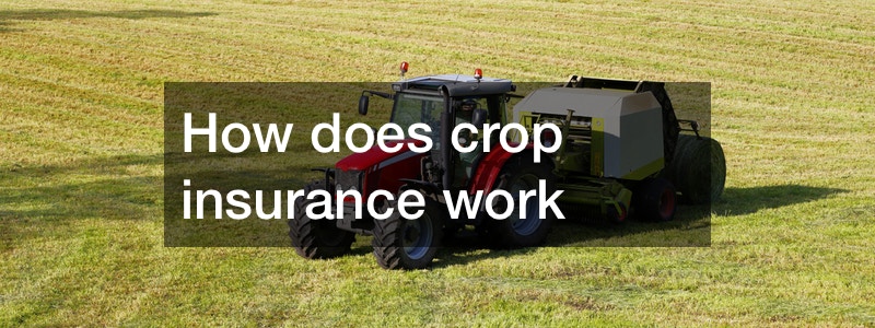  How Does Crop Insurance Work You Choose Car Insurance